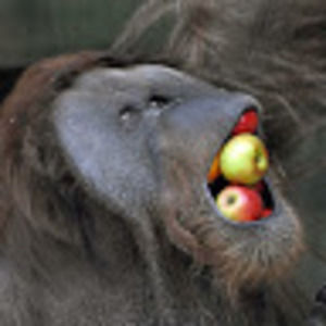 Meet your Posher, Jordan